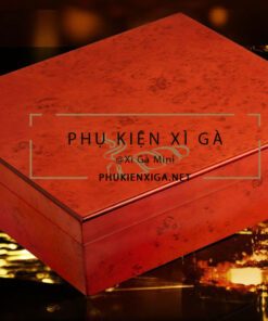 Hộp giữ ẩm xì gà 20 điếu - Ảnh 3