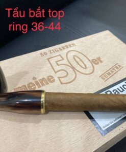 Tẩu Bắt Tóp xì gà Sừng size 36-44